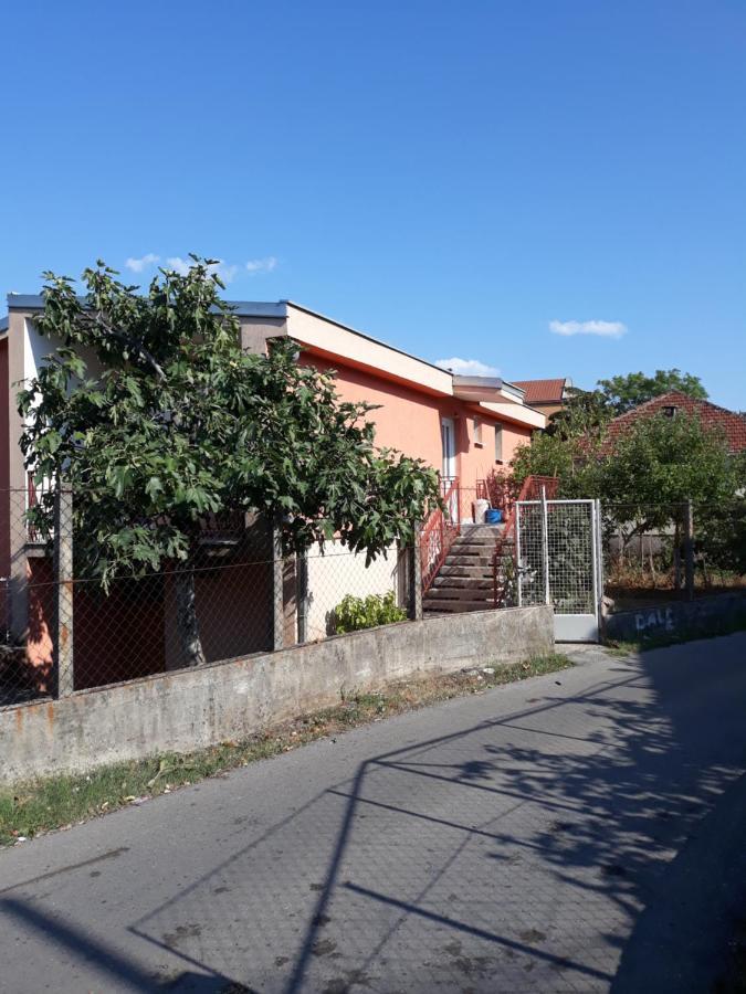 Apartment Lazar & Marco Podgoriţa Exterior foto
